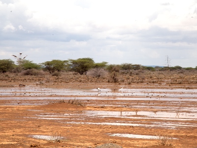 Flat area under water in Marsabit